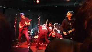 Dead or Alive, You&#39;re Coming With Me - Set to Stun |Live in Belfast