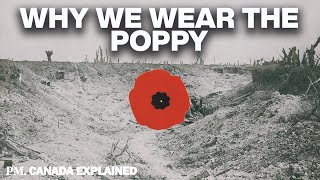 Why Canadians wear poppies and why Americans don’t - Canada Explained