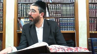הרב מאור קדוש - הלכות ברכת הפירות - שולחן ערוך סימן רב - חלק ה'