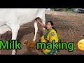Viral Cow Milk Making Vlog ️