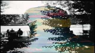 Plastic Flowers - Vicious Victims