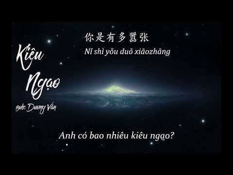 [Letra - Vietsub] Kiêu Ngạo – Lưu Nghiên Phi ft Chương Trí Tiệp |嚣张- 刘妍菲 / Zhang Zhixian