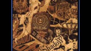 Dj Shadow Mashin on the motorway