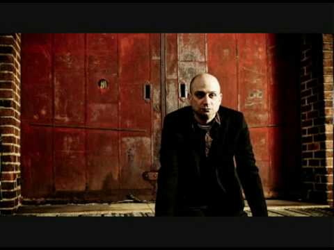 The Killer And The Star - The Avenue