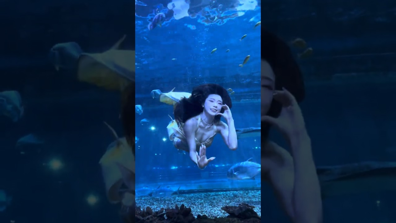 Does anyone understand what the audience said? It should be that I am very beautiful OR 黃小璐美人鱼