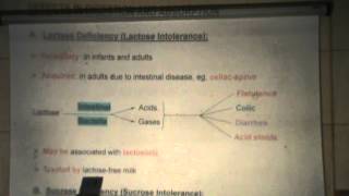 5) Dr.Rasheed 3/11/2014 [ Digestion of carbohydrates & Absorption of monosaccharides ]