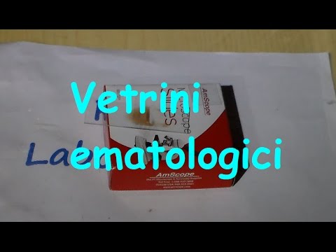 Potenza dopo lintervento chirurgico per rimuovere ladenoma prostatico Piccole vescicole sulla testa del pene che è