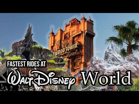 Top 7 Fastest Rides at Walt Disney World