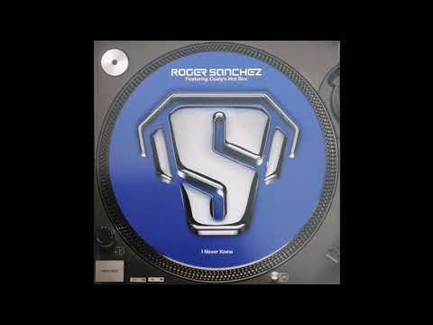 Roger Sanchez - I Never Knew (S-Man's R*Senal Dub)
