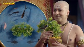 पंडित रामा कृष्ण ने मछली को कैसे चढ़ाया वृक्ष पर ? - तेनाली रामा - EP. 734, 735, 736, 737