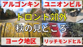 【カナダの風景】トロント郊外の秋のみどころ