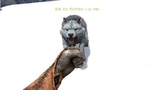 ARK（SE）日記5