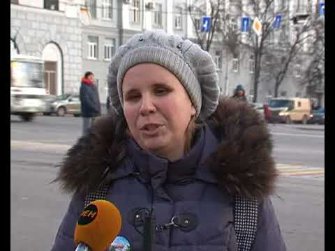 О том, какими разными бывают собаки, и что их всех объединяет