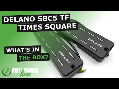 Delano Times Square SBC5 TF Bass Pickup Set: What’s In The Box? (A Close-Up Look)