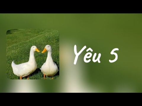 [ Lyric ] YÊU 5 - Rhymastic.