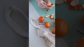 Amazing Uses for Orange Peels You Never   #everydaysolutions