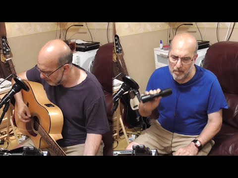 The Seagull's Name Was Nelson - Peter E Bennett cover