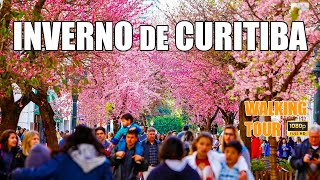 Caminhada Inverno no Centro de Curitiba - Walking Tour Paraná Brazil