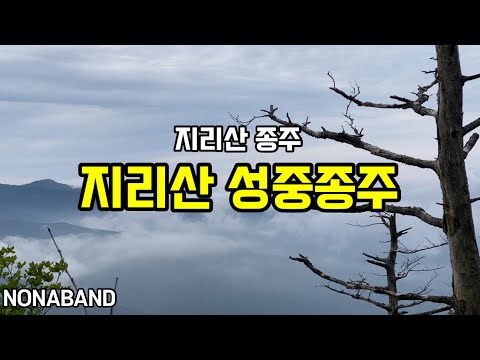 지리산 성중 종주산행                                  2021 6.14 성삼재-천왕봉-중산리 35km