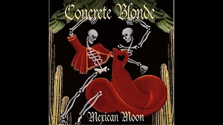 Concrete Blonde – Jenny I Read    Karaoke w/lyrics