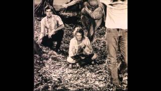 Nirvana - Polly (New Wave)