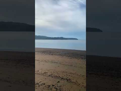 Costa Rica Puntarenas ,golfo dulce.