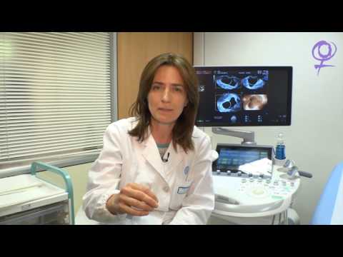 Antonia Testa: l'innovazione nella cura dell'ecografia diagnostica