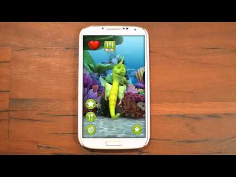 Talking Seahorse Video