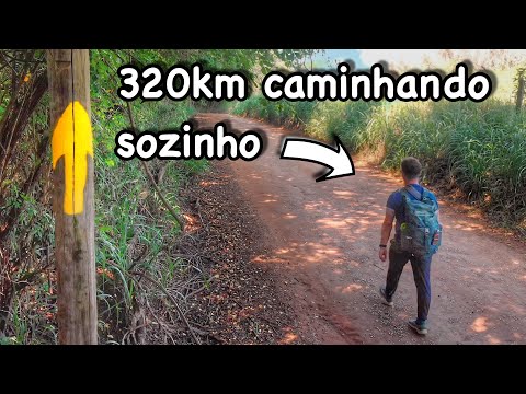 Caminho da Fé: O Guia definitivo
