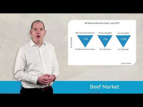 Beef & Lamb Market Update - September 2019