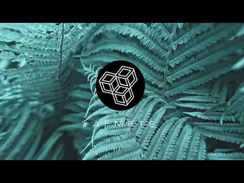 UNDERTOP fly - Still Spreads Bliss