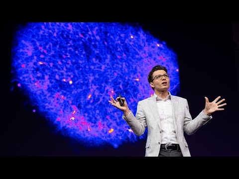 Vídeo: A enxeñería inversa do cerebro humano no laboratorio