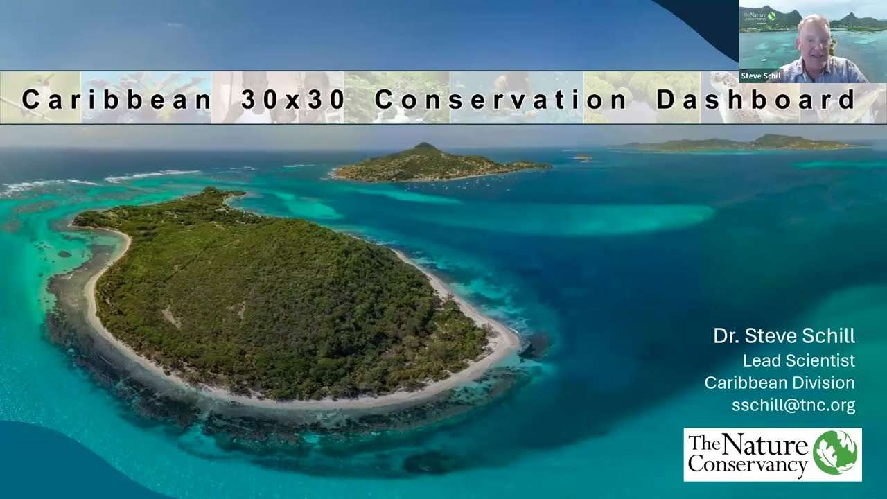 Caribbean Currents Masterclass Episode #1 - 30X30 Dashboard