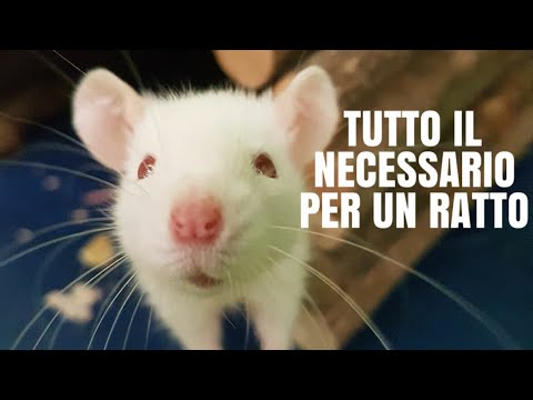 Che curare leczema i rimedi di gente fissi Cura di psoriasi allIsraele