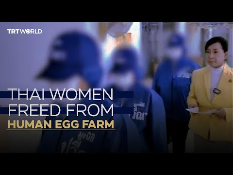 Illicit human egg farm in Georgia exposes dark side of fertility industry
