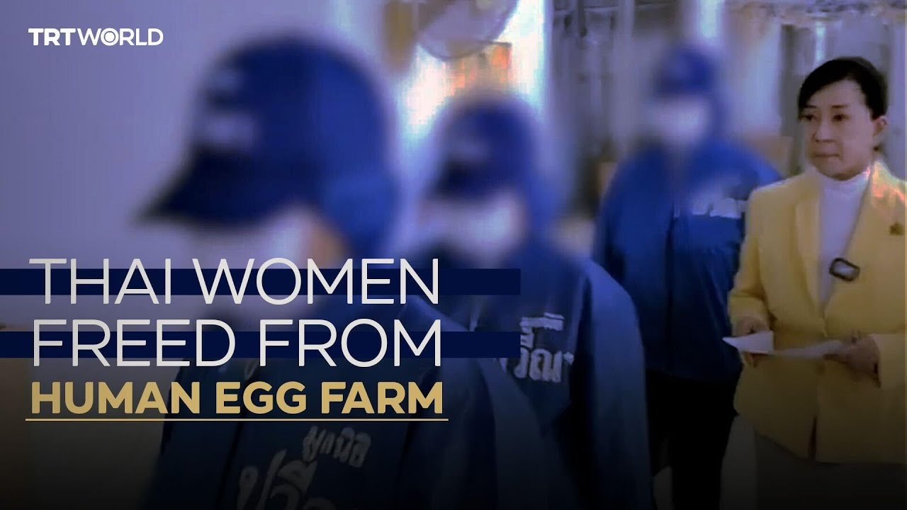 Illicit human egg farm in Georgia exposes dark side of fertility industry