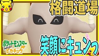 サワムラー ポケットモンスター カムカメ サンダー ピッピ