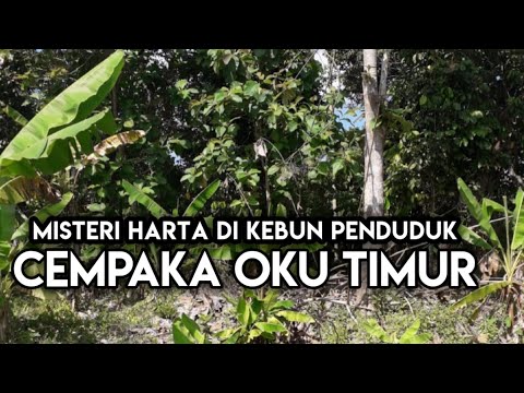 Misteri Harta Di Kebun Warga Di Cempaka OKU Timur