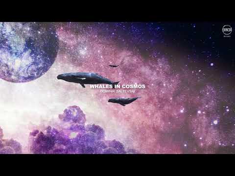 Dominik Saltevski - Whales In Cosmos (Original Mix)