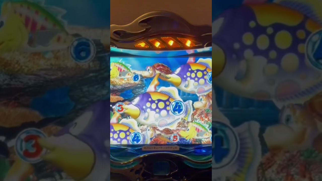 Shorts Eアドベンチャー2inアクアポリス