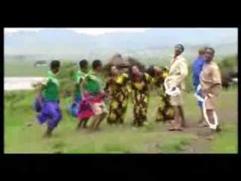 Baye Sonic - filfilu - BEHONKUGNE GOJAMMIE - FIKADU GIRMA