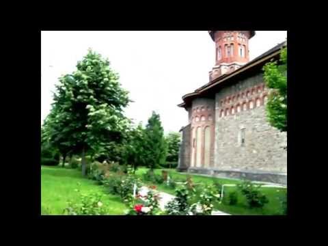 Curtea Domnească de la Bacău - ruinele Casei Domnești