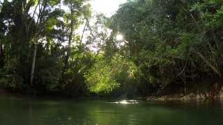 preview picture of video 'Discover Hamanasi Adventure & Dive Resort in Belize.'