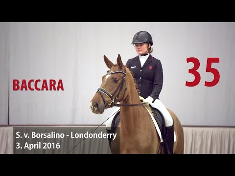 35 Baccara Stute v. Borsalino -  Londonderry