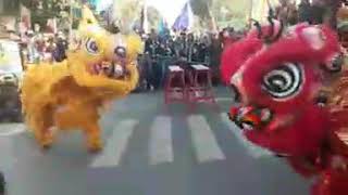 Download lagu Barongsai ikspi ponorogo di kismantoro,pak camat dan pnonton nya luar biasa mp3