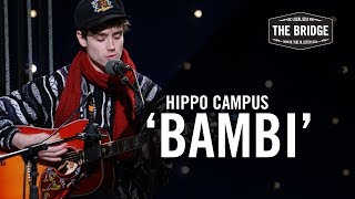 Hippo Campus - &#39;Bambi&#39; (Acoustic) | The Bridge 909 in Studio