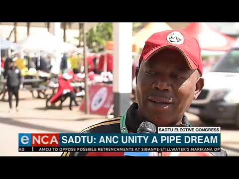 Sadtu ANC unity is a pipe dream