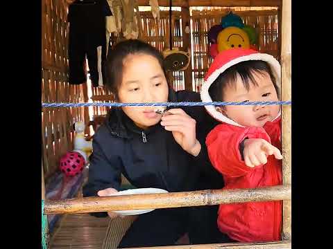 POOR SINGLE MOTHER ESCAPE BAD HUSBAND to Raise 3 POOR CHILD Harvest Cooking Hard Food in the Wild