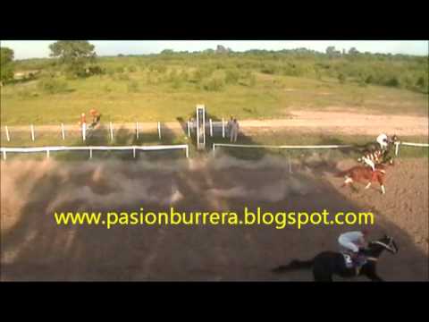 King Kong, Vera (14-10-12)