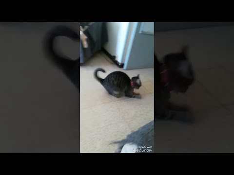 Такие странные игры